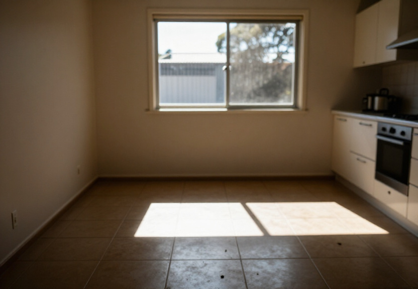 Ant Control in a New Home